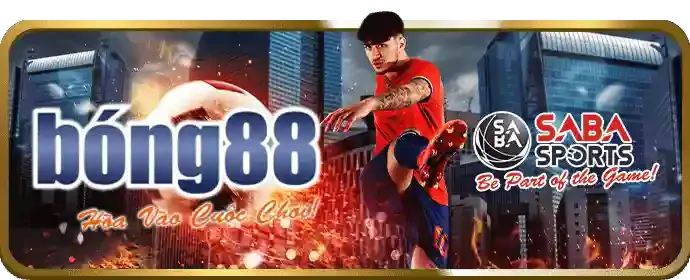 Trang tài khoản cá nhân sau khi đăng nhập 33bet thành công